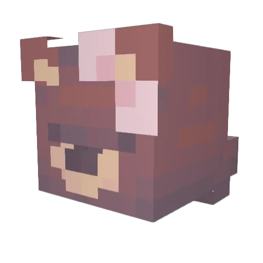 Koalakid321 Minecraft avatar head, 3D render