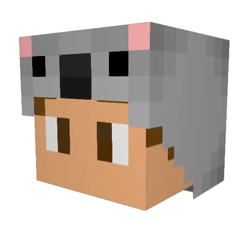 KoalasRule Minecraft avatar head, 3D render