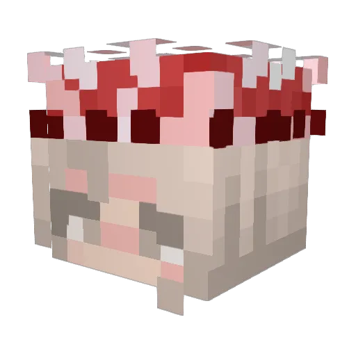 Koalasarecute16 Minecraft avatar head, 3D render