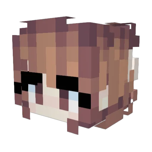 Koalciaaa Minecraft avatar head, 3D render
