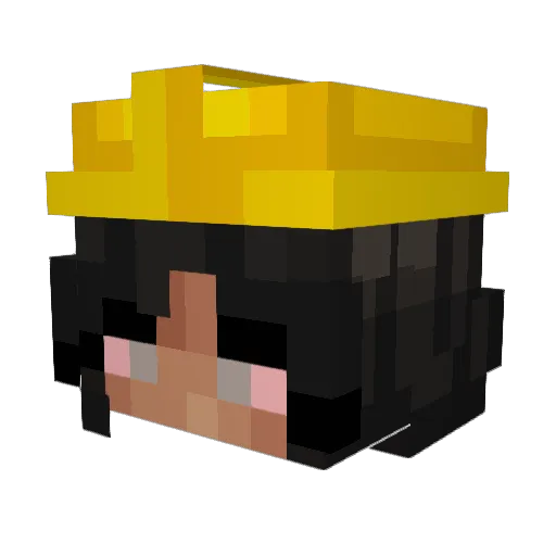 Koalicja00 Minecraft avatar head, 3D render