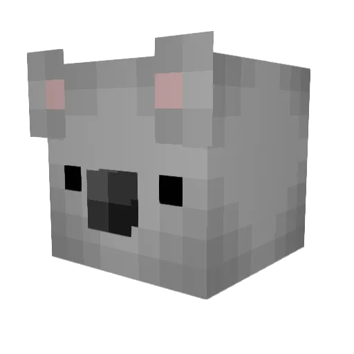 Koalinator Minecraft avatar head, 3D render