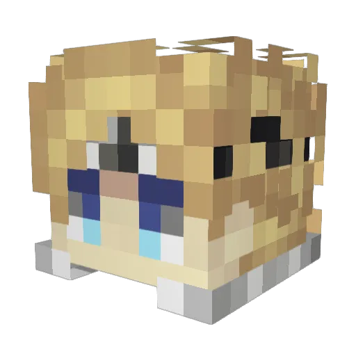 KoalityExists Minecraft avatar head, 3D render