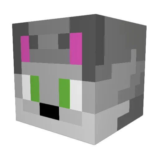 Koalka241 Minecraft avatar head, 3D render