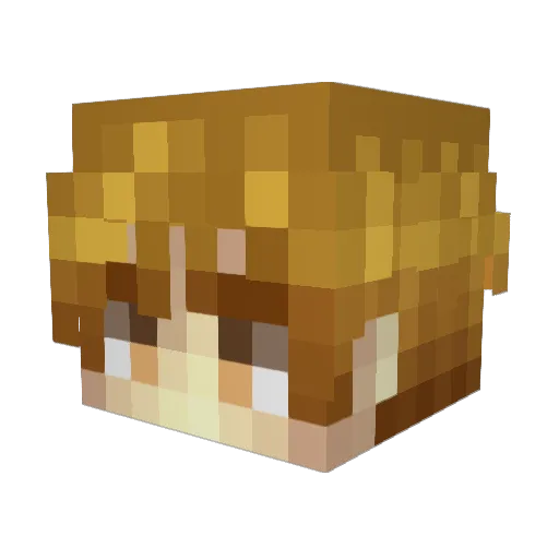 KoanBG Minecraft avatar head, 3D render