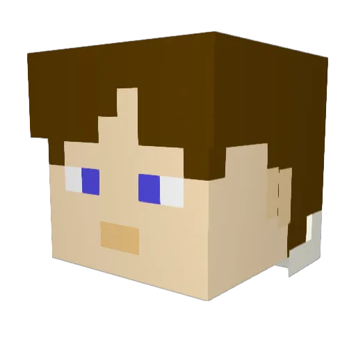 Koasy_cosy Minecraft avatar head, 3D render