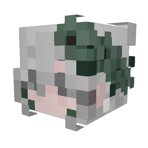 Kobasubun Minecraft avatar head, 3D render