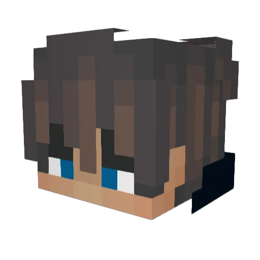 Kobold2000 Minecraft avatar head, 3D render