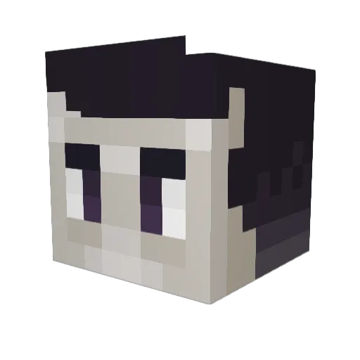 Kobra232 Minecraft avatar head, 3D render