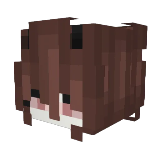 Kobra_91 Minecraft avatar head, 3D render