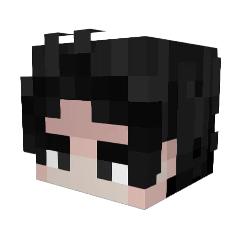 KobyRL Minecraft avatar head, 3D render