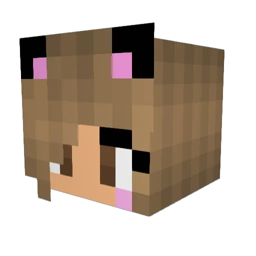 Kociaczek_1 Minecraft avatar head, 3D render