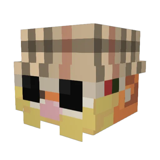 Kociak_212 Minecraft avatar head, 3D render