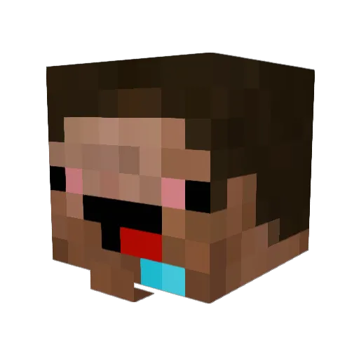 Kocii Minecraft avatar head, 3D render