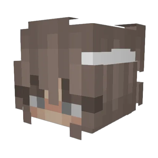 KocurekOlinek Minecraft avatar head, 3D render