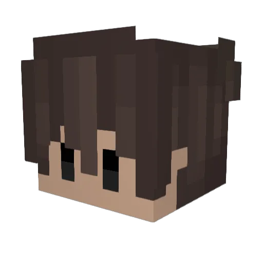 Koda_52 Minecraft avatar head, 3D render