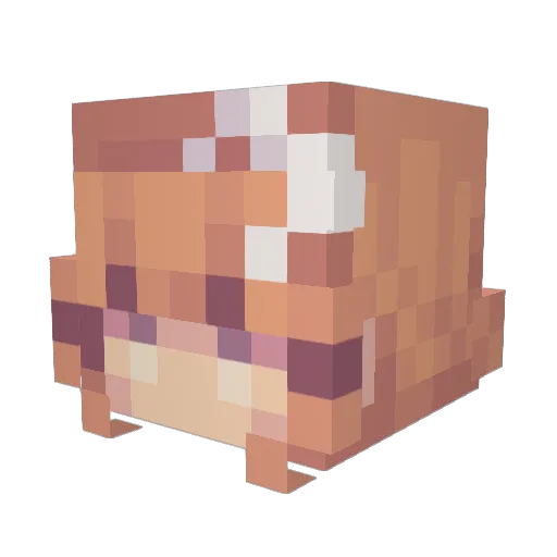 Kodeedee Minecraft avatar head, 3D render