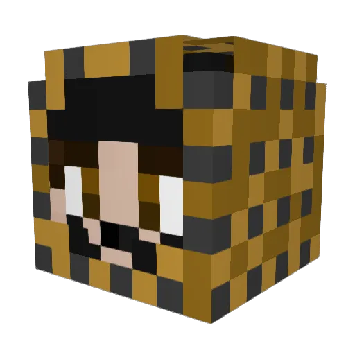 Kodiacc55 Minecraft avatar head, 3D render