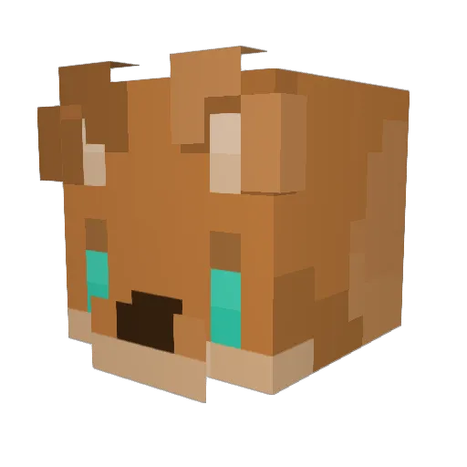 KodiiMutt Minecraft avatar head, 3D render