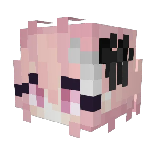 Kodlane Minecraft avatar head, 3D render
