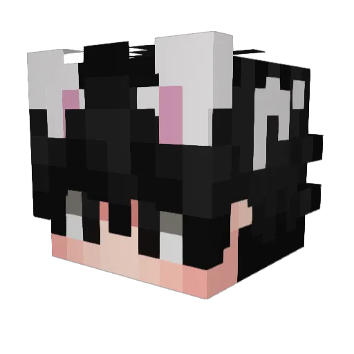 Kodlnw Minecraft avatar head, 3D render