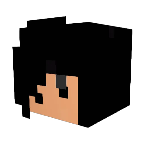 Koduhs Minecraft avatar head, 3D render