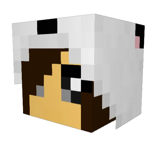 Kodylaky Minecraft avatar head, 3D render