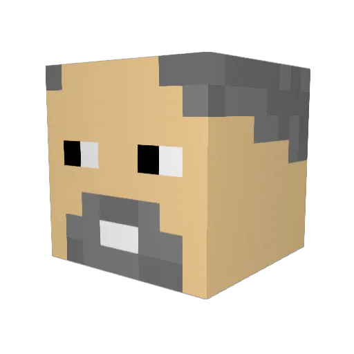 Koen02 Minecraft avatar head, 3D render