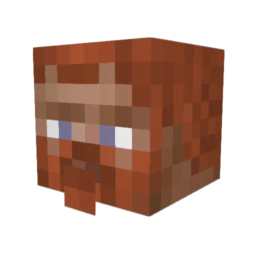 KoenMoo Minecraft avatar head, 3D render
