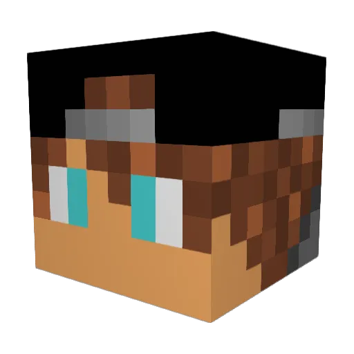 Koen_Fennis Minecraft avatar head, 3D render