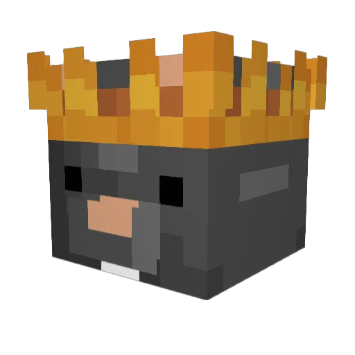 KoenigJanRatte Minecraft avatar head, 3D render