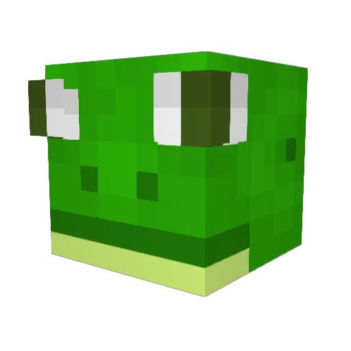 KofiFrog Minecraft avatar head, 3D render