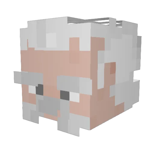 Kogan__Ane Minecraft avatar head, 3D render