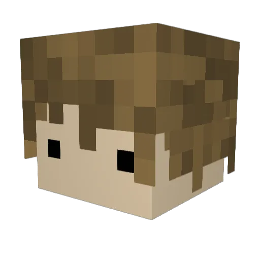 Kogelbauer Minecraft avatar head, 3D render