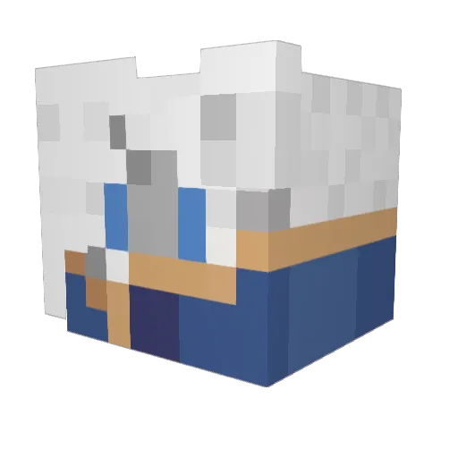 Kogster119 Minecraft avatar head, 3D render