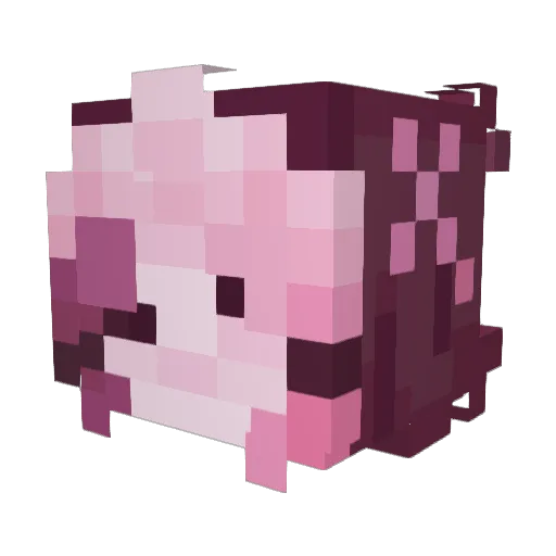 KohaBonYT Minecraft avatar head, 3D render