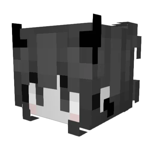 Koha__ Minecraft avatar head, 3D render