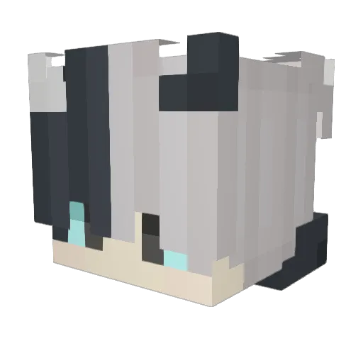 Kohaku5891101 Minecraft avatar head, 3D render