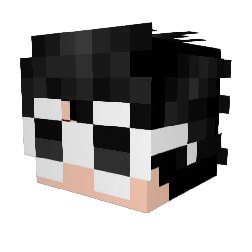 KohiLounges Minecraft avatar head, 3D render