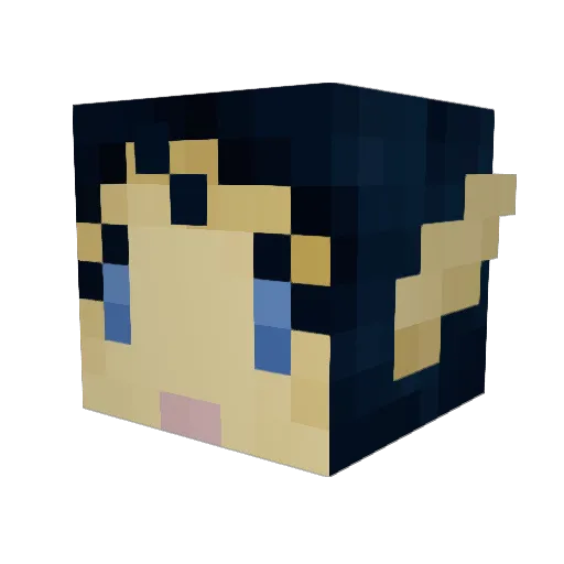 Kohiwo Minecraft avatar head, 3D render