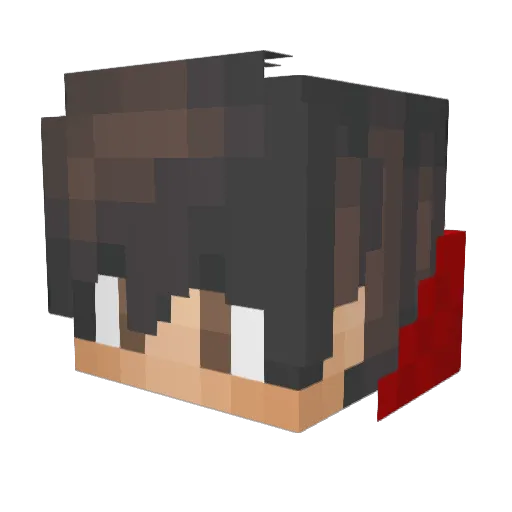 Kohlberg Minecraft avatar head, 3D render