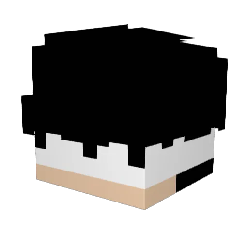 KoiBuilds Minecraft avatar head, 3D render
