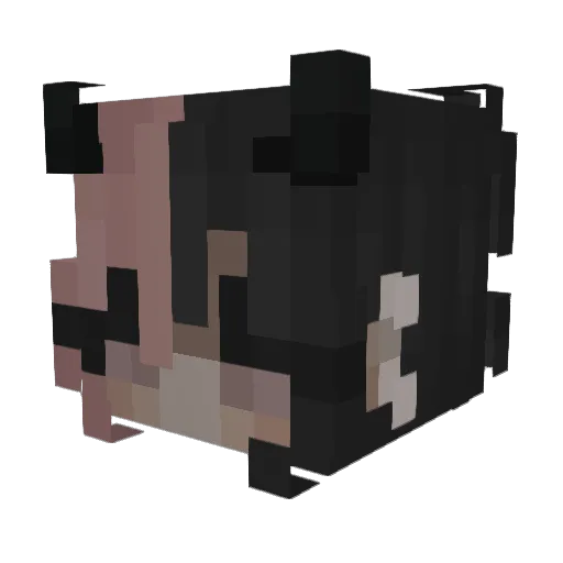 KoiFish20 Minecraft avatar head, 3D render