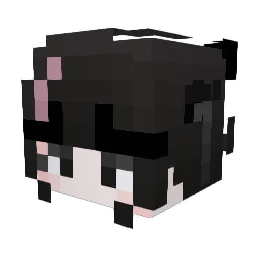 KoiKaradon Minecraft avatar head, 3D render
