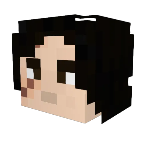 Koiiiiiiiii Minecraft avatar head, 3D render