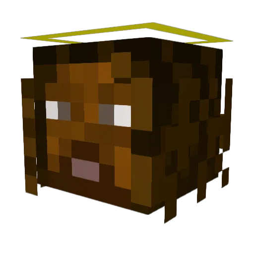 Kointoss Minecraft avatar head, 3D render