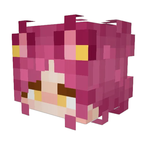 Koipuff Minecraft avatar head, 3D render