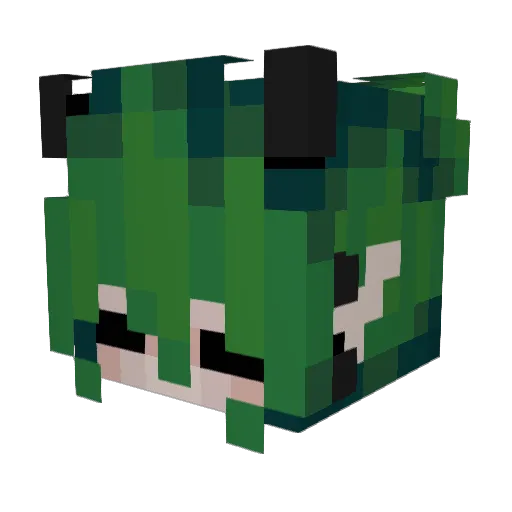 Koisoma Minecraft avatar head, 3D render