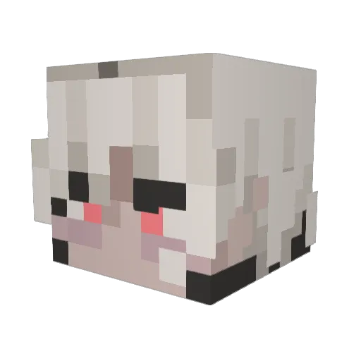 Minecraft-Avatar von Koisticks: Kopf als 3D-Render