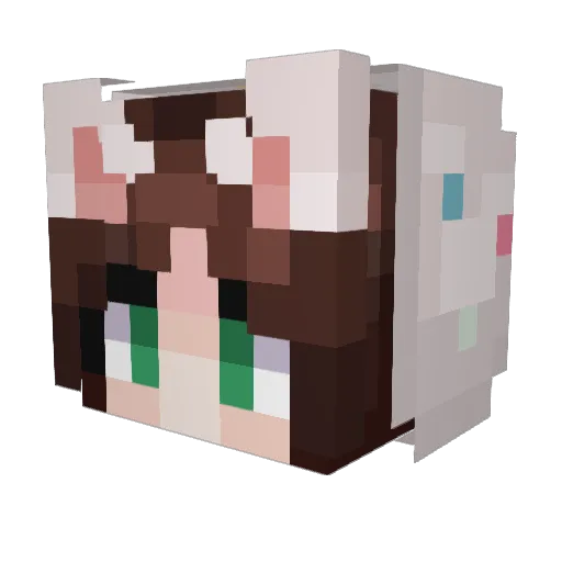 Koistyfishy Minecraft avatar head, 3D render